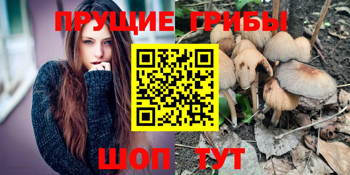 Галлюциногенные грибы Cubensis Боровичи