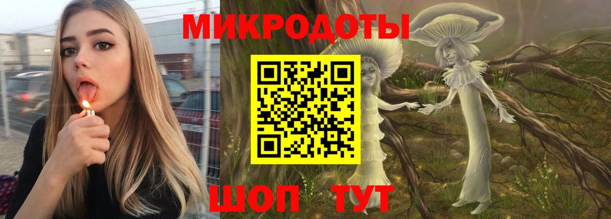 Боровичи  Псилоцибиновые грибы Psilocybine cubensis  Вход с VPN 
